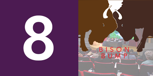 Bison Bump